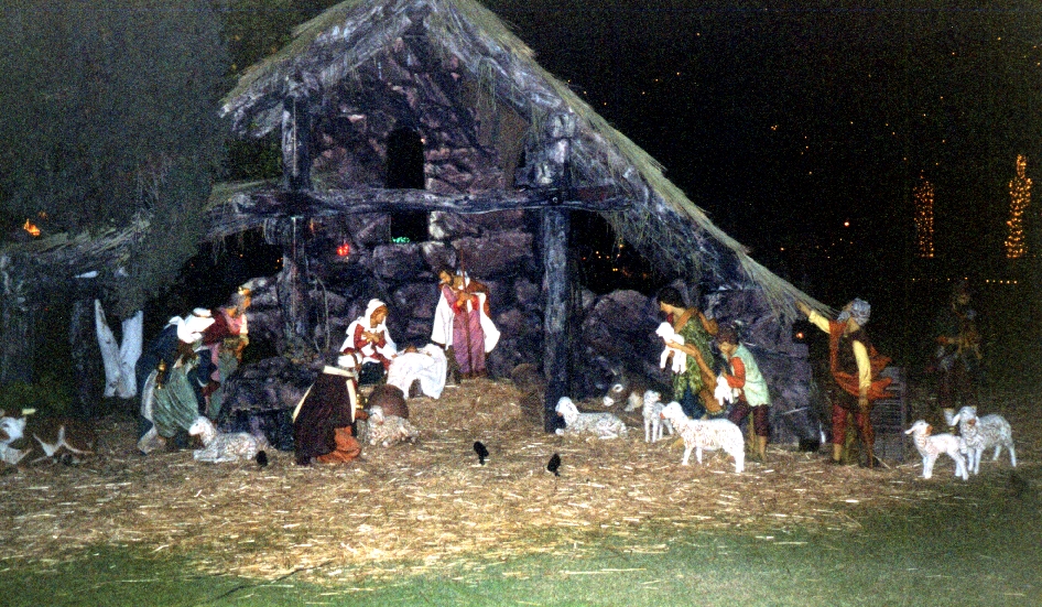 Image 20